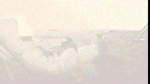 Паук в доме