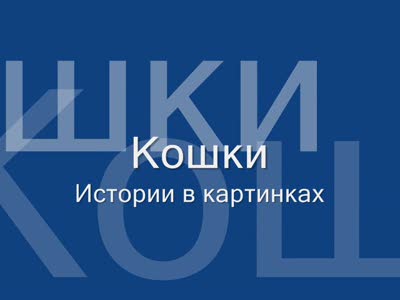 Кошки. Истории в картинках.