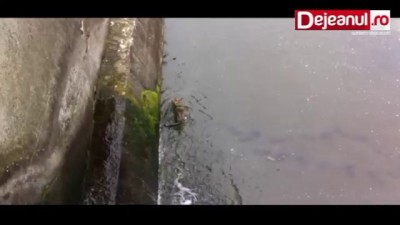 Спасибо вам, человеки