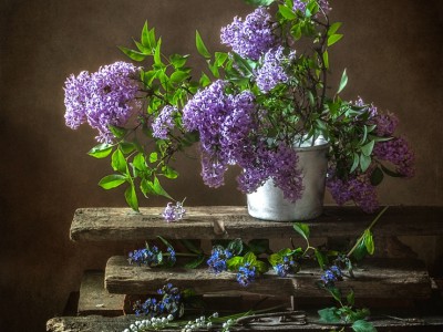 Ян Подорожный"Ветка сирени"