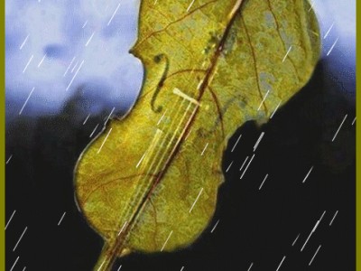 Дмитрий Смирнов и Modern Blues Band (вокал Анна Бутурлиа) "Скрипка-Осень"