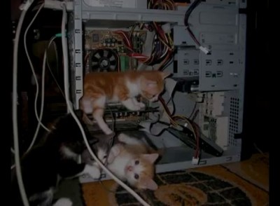 Саша Уральский и Денис из техподдержки (18+)