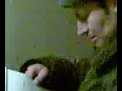 Прапорщик Белан