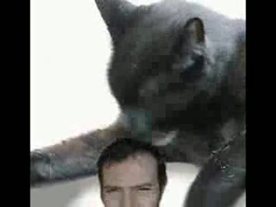 8 битная жесть