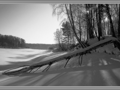 Deep Fish - Sound Of Pulse