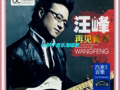 北京北京-汪峰