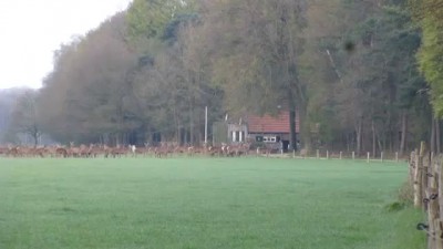 Для тех кому не уснуть