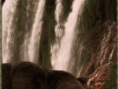 У водопада !