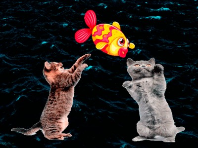 танцы с рыбкой