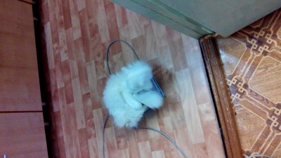 Впихнуть невпихуемое