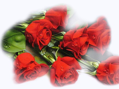 ЛЮБИМАЯ ЖЕНЩИНА