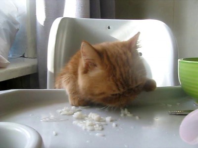 младшенький