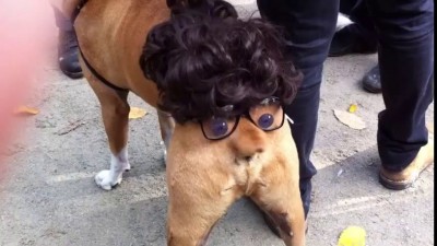 Костюм для Хелоуина