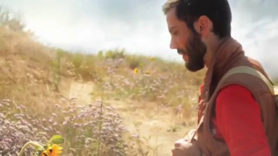 Танцующие овечки