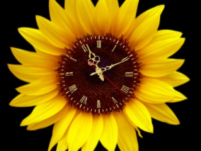 Часы-подсолнух