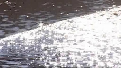 Осенняя видео зарисовка