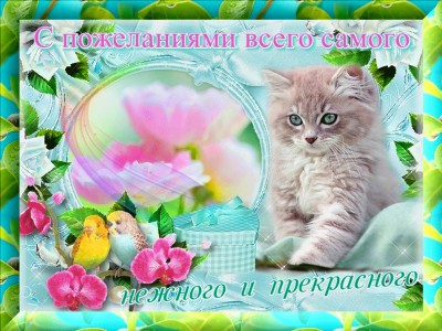С пожеланиями всего самого нежного и прекрасного