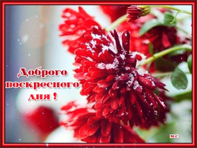 Доброго воскресного дня !