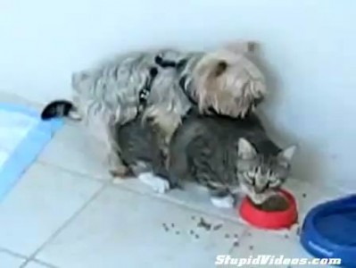 А Васька слушает да ест