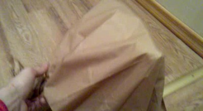 Кошачьи роды