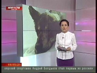 Школьники помогают псу, пострадавшему от рук живодеров