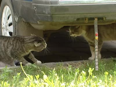 чуть не уронили оператора