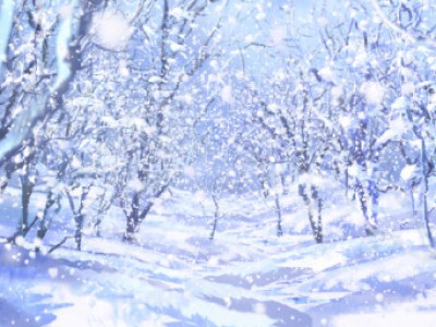 Editor’s Themekit 47 Winter Woods 001