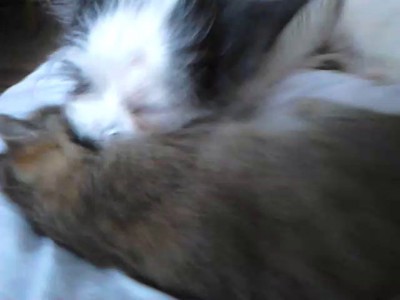 наверное это любовь