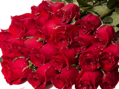 С ДНЁМ  РОЖДЕНИЯ!!!