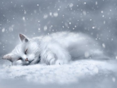 Сладких снов !