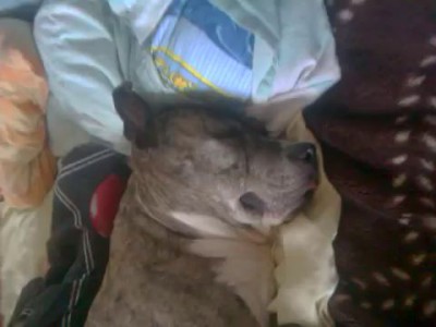 пробуждение