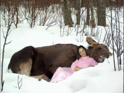 Фотожабы в виде слайдшоу. Часть 3-я: Культура и физкультура