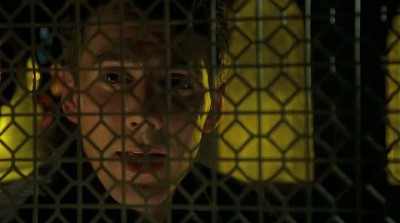 обет целомудрия