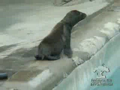 Учимся плавать