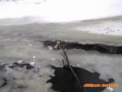 Спасение собаки