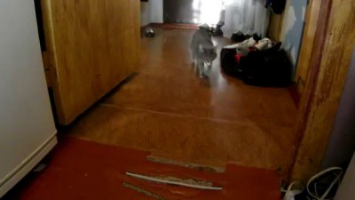 Вы еще не верите в реинкарнацию?