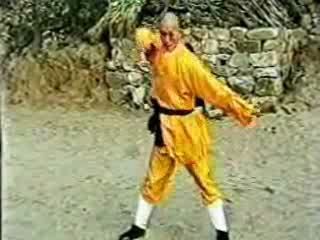 Тайное боевое искусство шаолиня