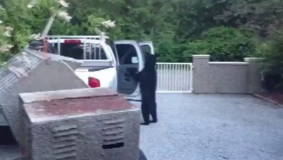 Косолапый досмотр авто