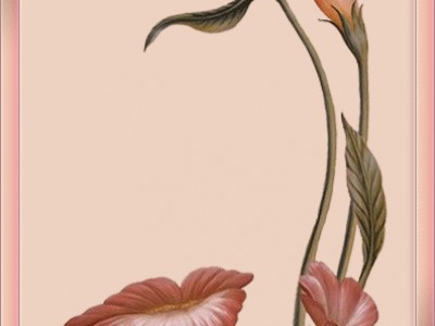 Ф. Мендельсон. Песня без слов №30 «Весенняя песня»