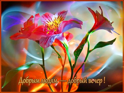 Добрым людям - добрый вечер !