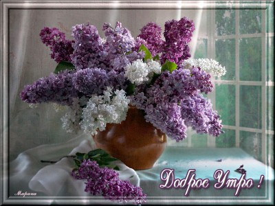 С Добрым утром !