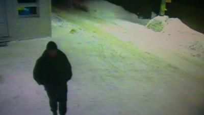 Охранник и коты