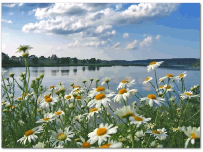 Анжела Жарова"Еслиб я была рекой"