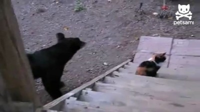 А по сопатке?