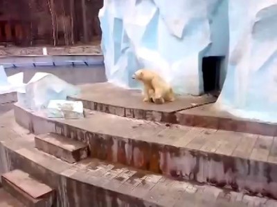 Герда и Шилка