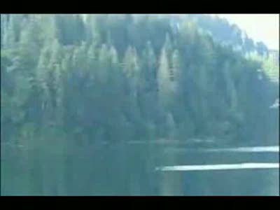 короткий воздушный бой