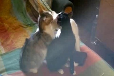 Любовный треугольник