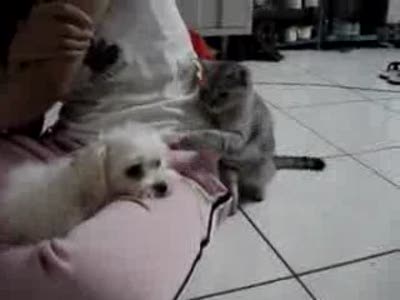 Не приставай