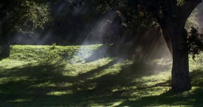 Робин Гуд-Мужчины в трико (Корил уролевского леняо)