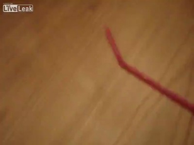 как поймать муху